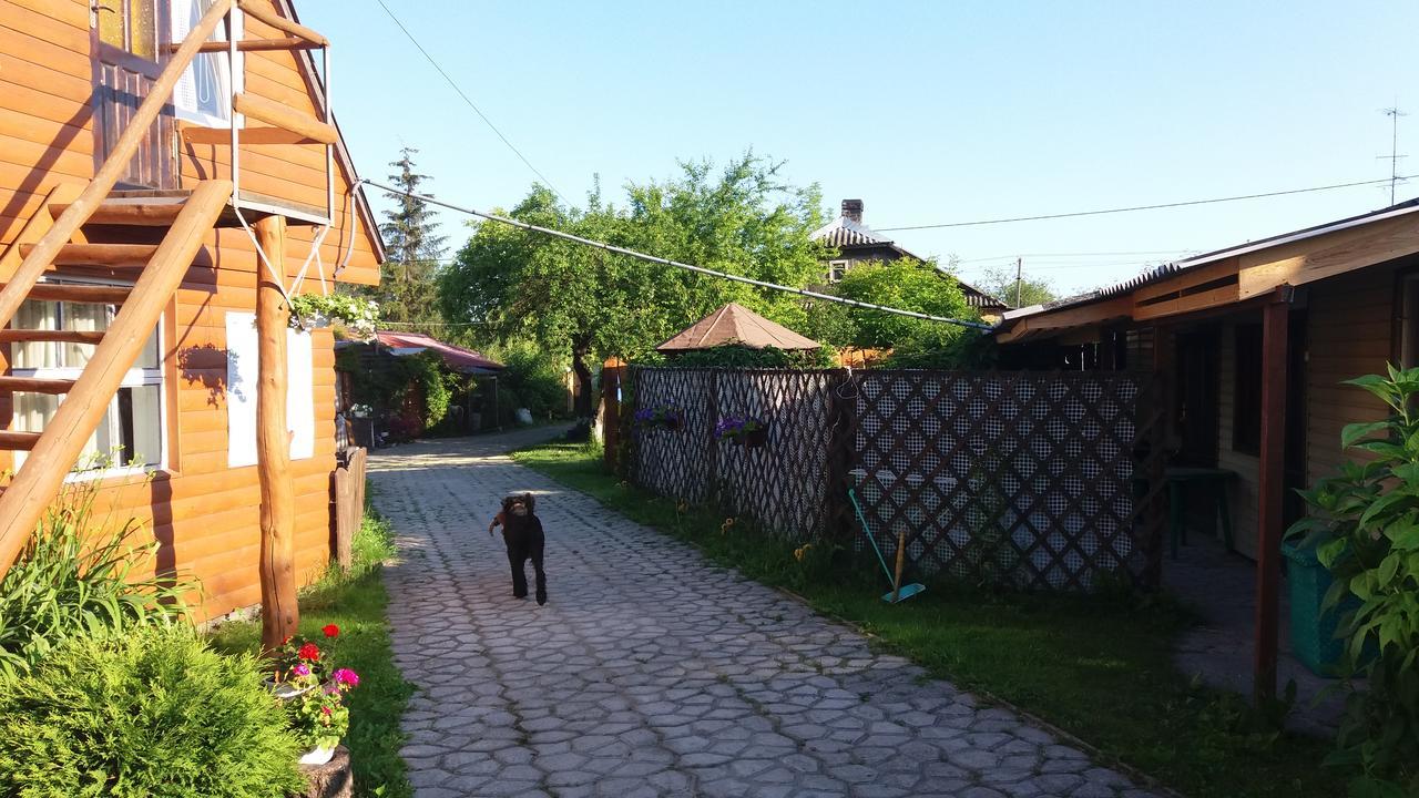 Sadyba U Gansa Svityaz' Esterno foto
